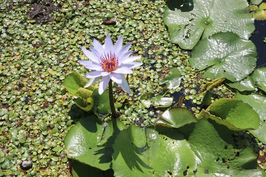 SG快乐十分直播